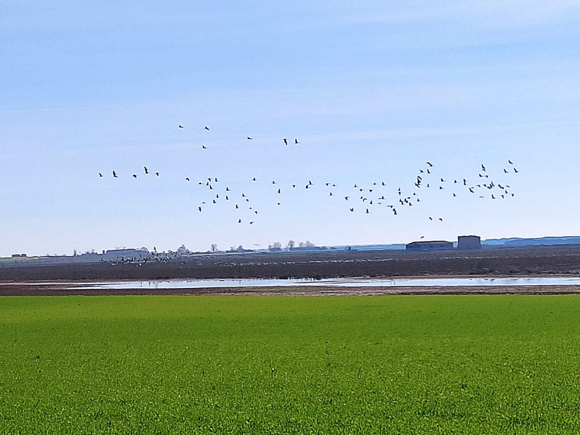 WhatsApp Image 2026 01 28 At 12.01.17